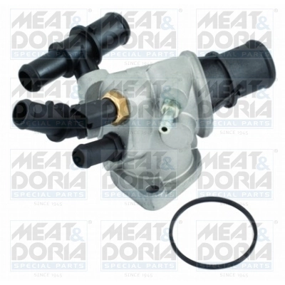 Thermostat, coolant